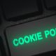 cookie policy 2022